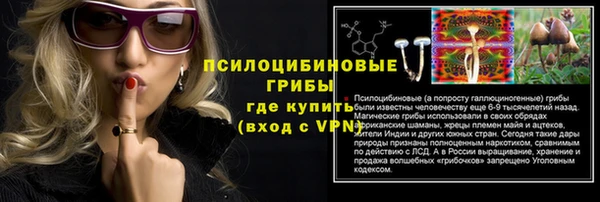 мескалин Елабуга