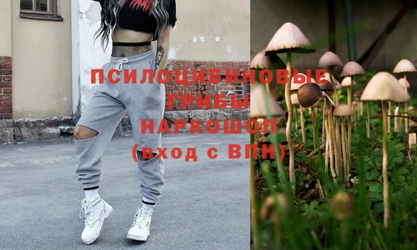 мдпв Елизово