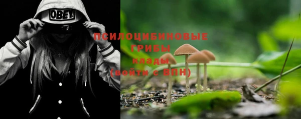 мяу мяу кристалл Ельня