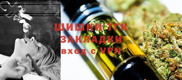 мдпв Елизово
