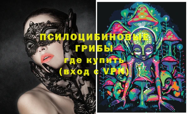 мяу мяу кристалл Ельня