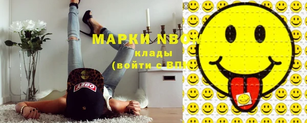 мдпв Елизово