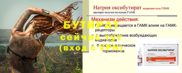 мяу мяу кристалл Ельня